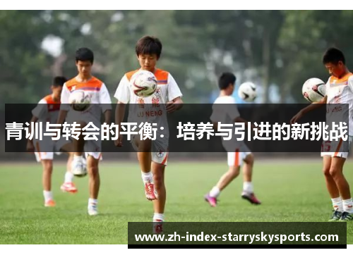 青训与转会的平衡：培养与引进的新挑战